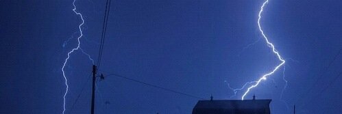 Vini. banner