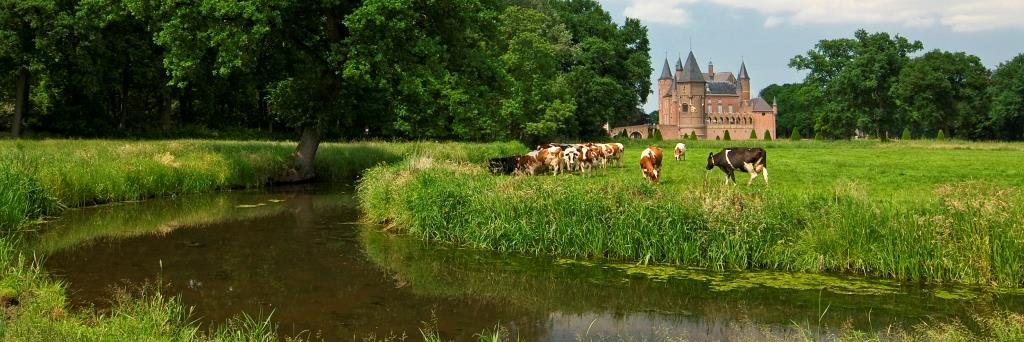 Ernest de Groot banner