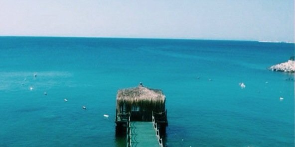 ellarose_c's profile banner image