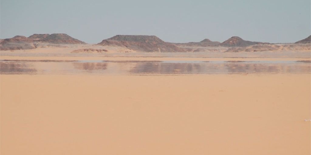 SinHumanidad's profile banner image