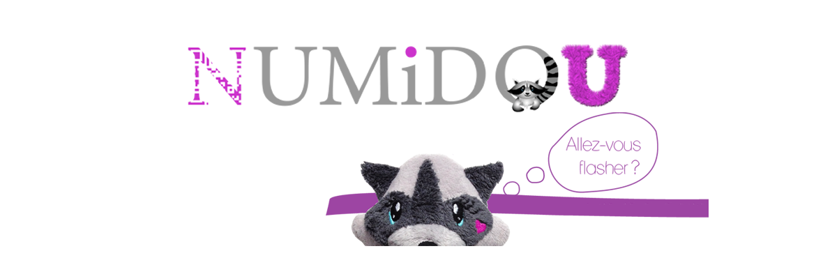 NUMIDOU1's profile banner image