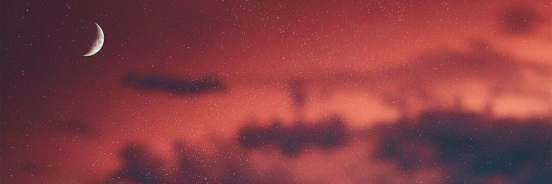 DelusionalG1RL's profile banner image