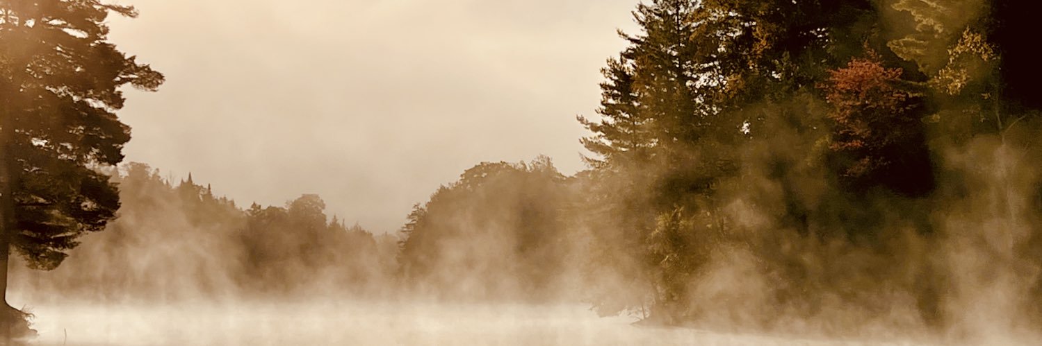 Bellevator's profile banner image