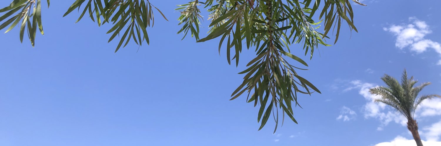 IndiCamm's profile banner image