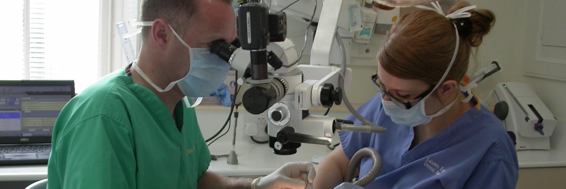 SteveBDentist's profile banner image