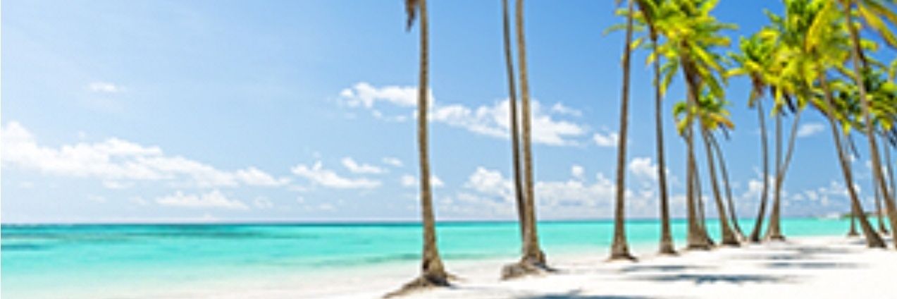 rdk33l3r's profile banner image