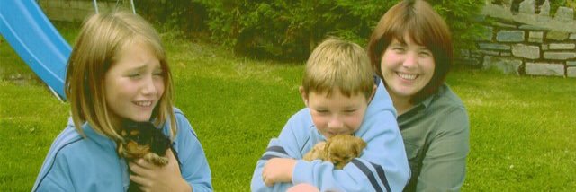 EdsmumTracey's profile banner image