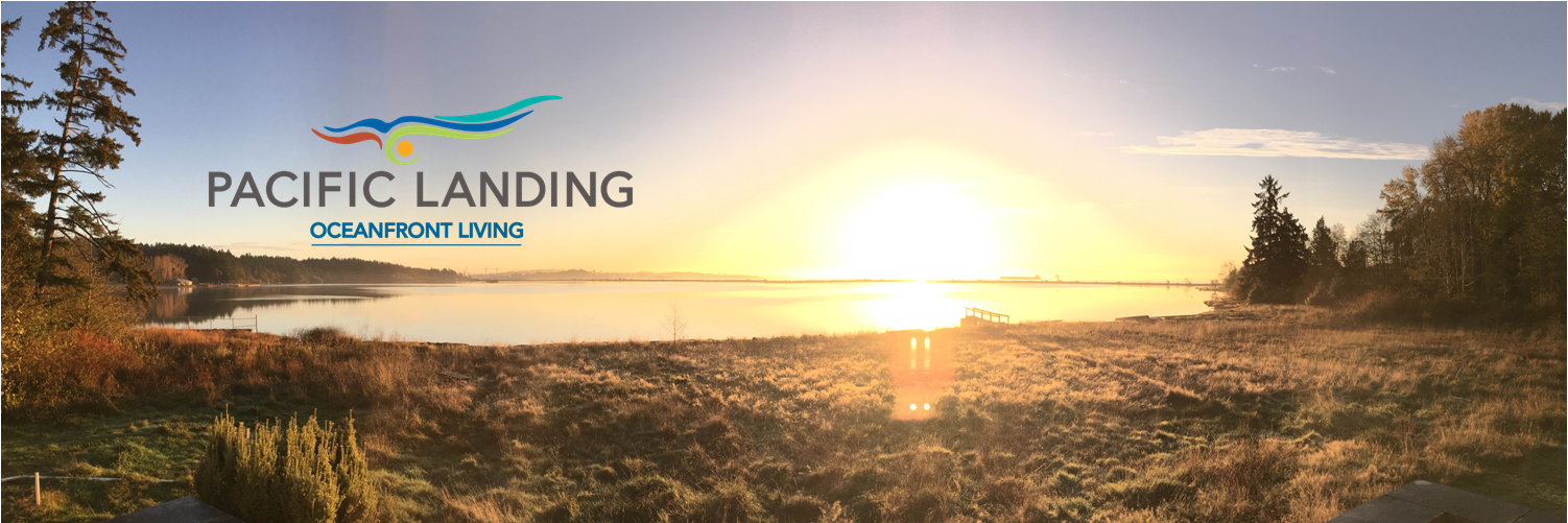 pacificlanding's profile banner image