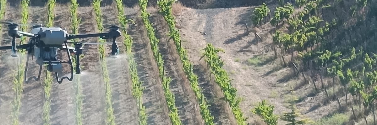 el_bitxo's profile banner image