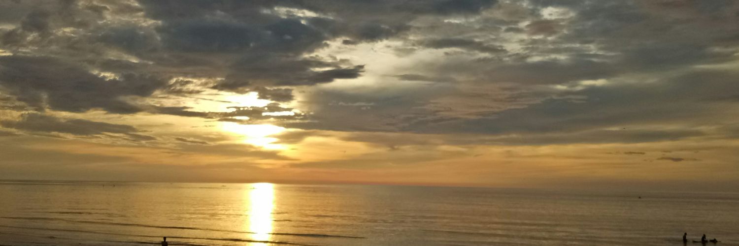 danicanamoco's profile banner image