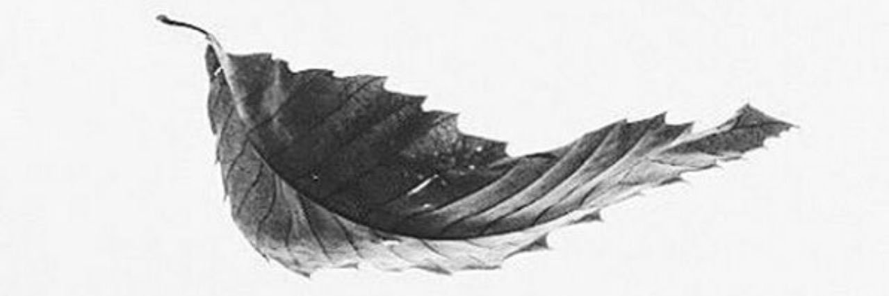 dFA_112's profile banner image