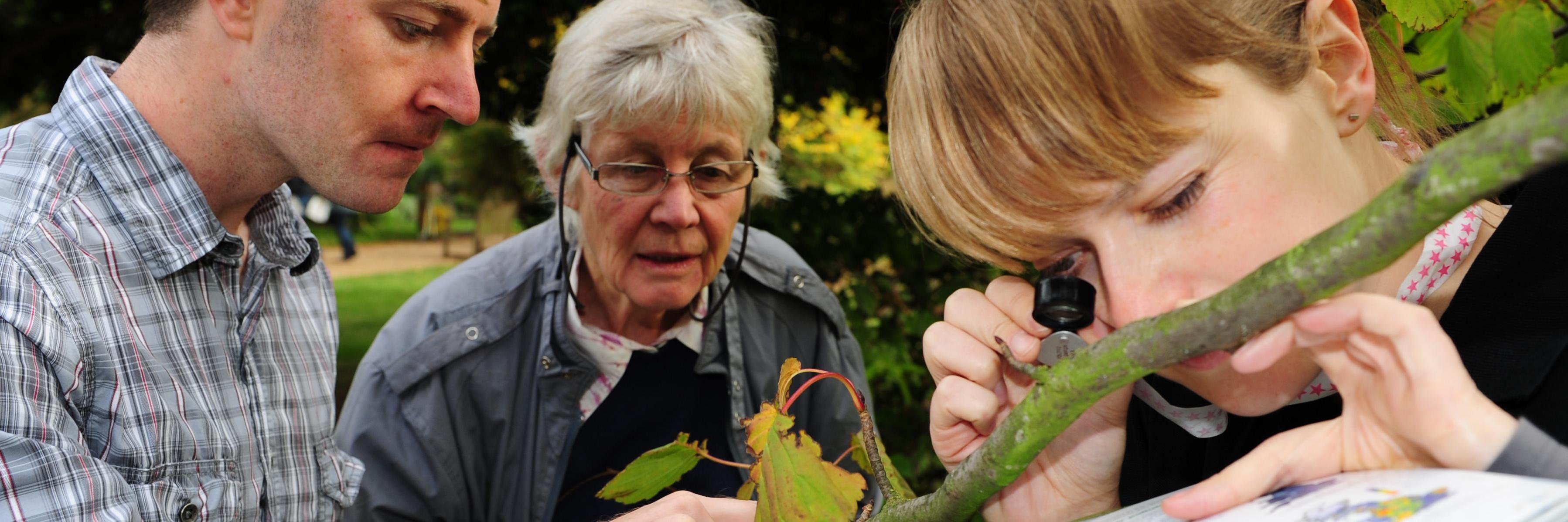 Open Air Labs (OPAL) banner