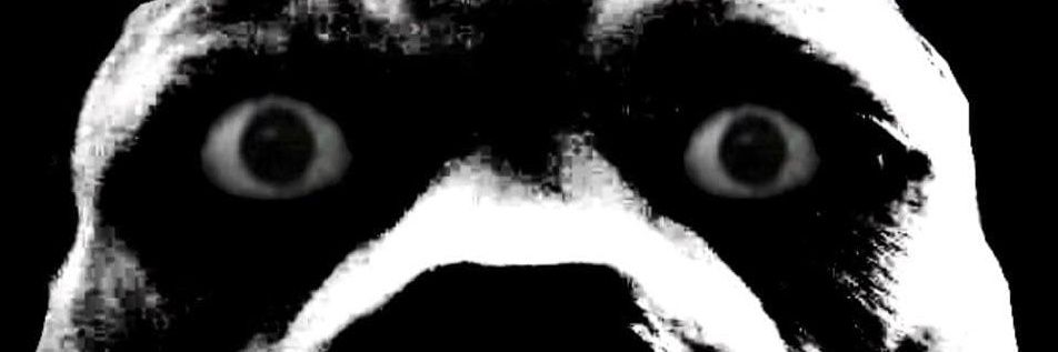 AltLeftChad's profile banner image