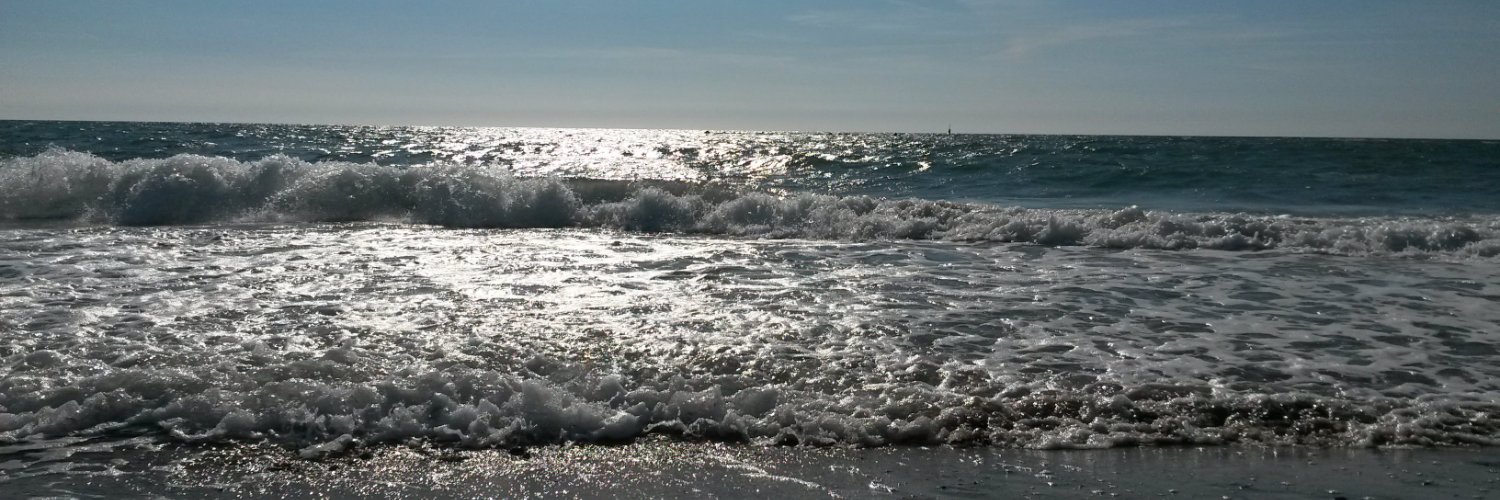 Waveriderjohnny's profile banner image