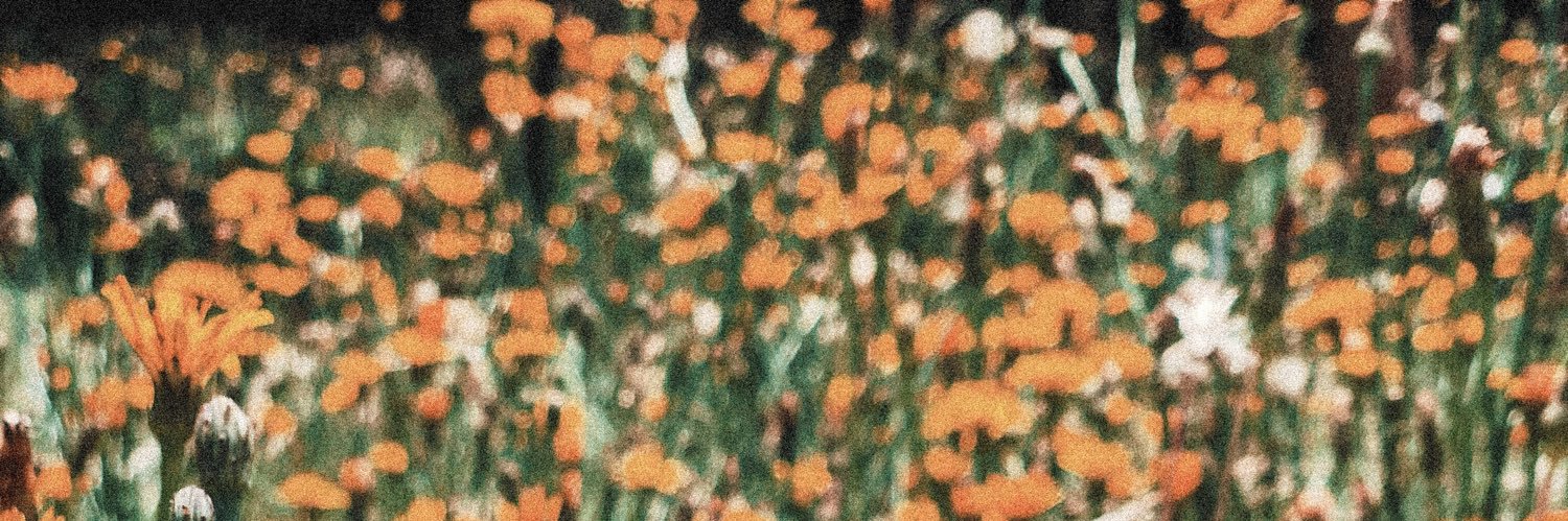 shawnstess's profile banner image