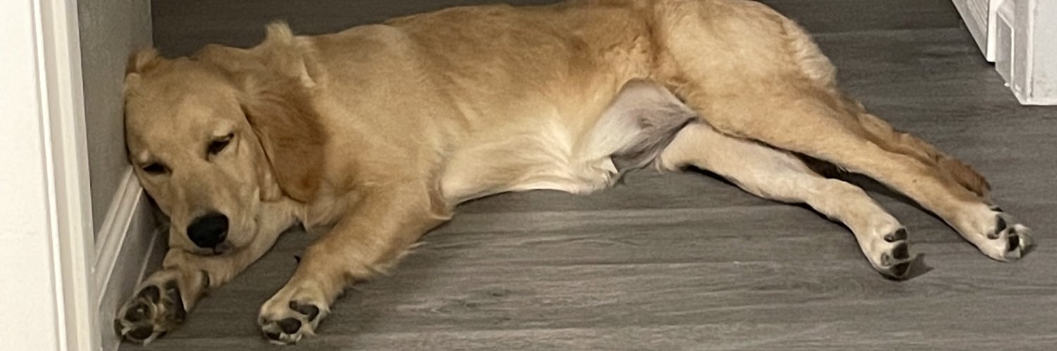 Big_Andy64's profile banner image