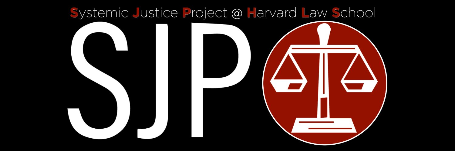 Systemic Justice HLS banner