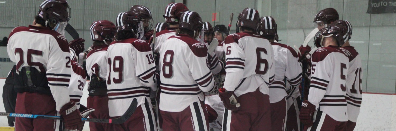 Springfield College Hockey banner
