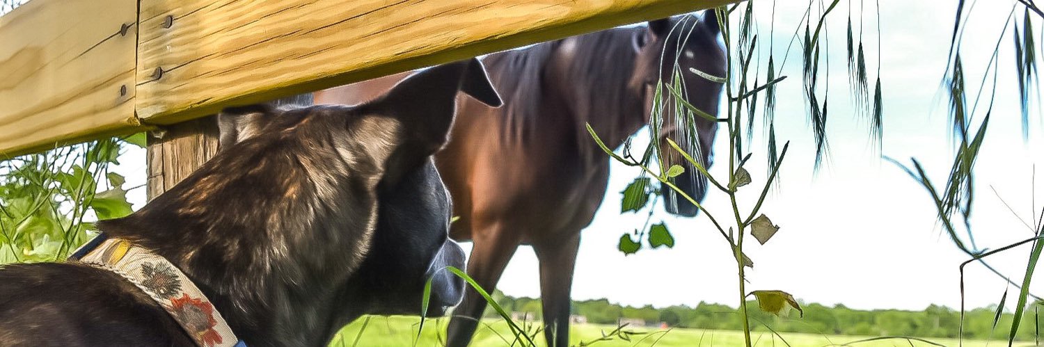 jessslewins's profile banner image