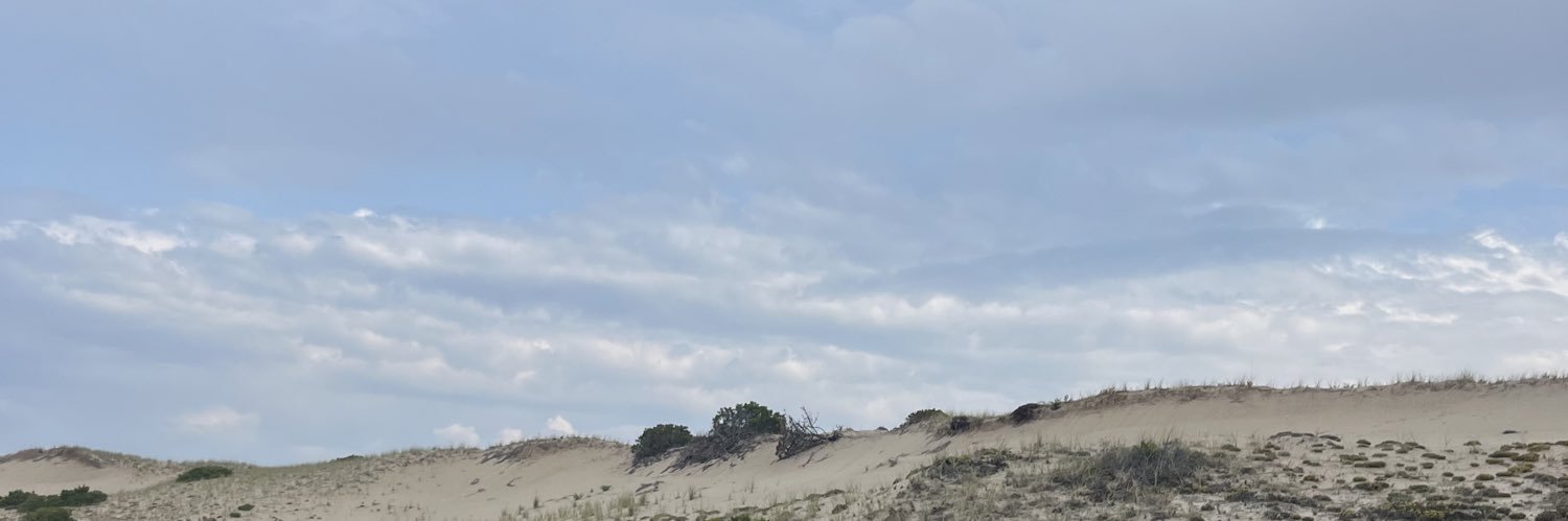 meli_cep27's profile banner image