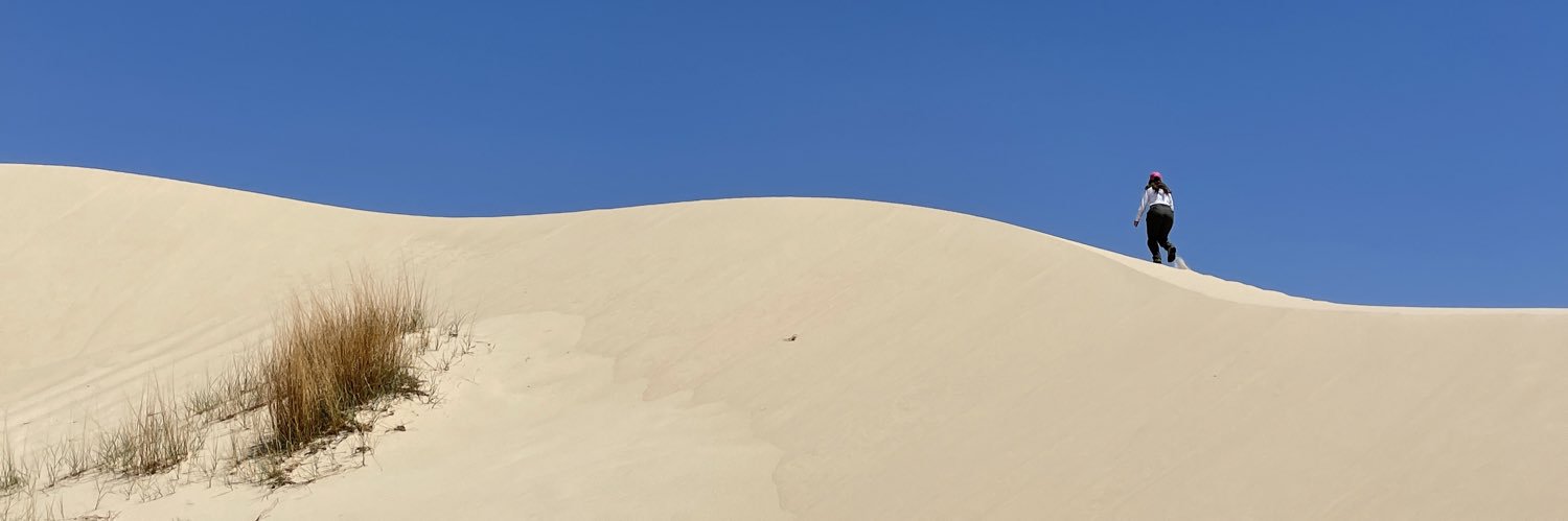 thottymus's profile banner image