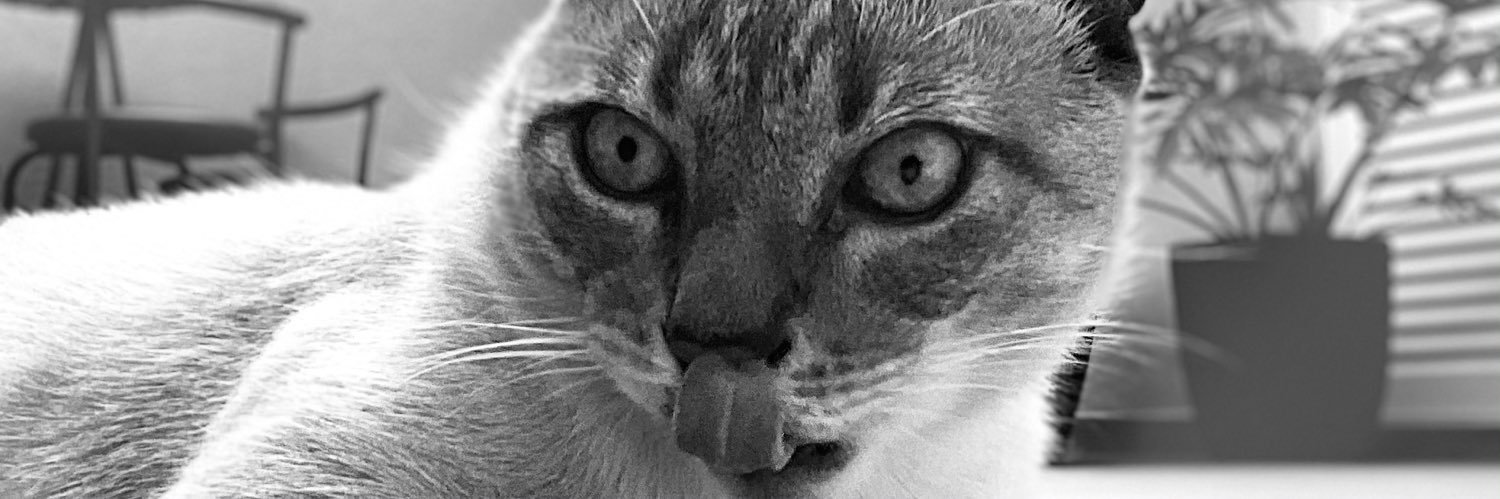 dev_reis's profile banner image