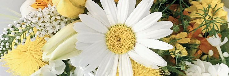 _Mariah_Suarez_'s profile banner image