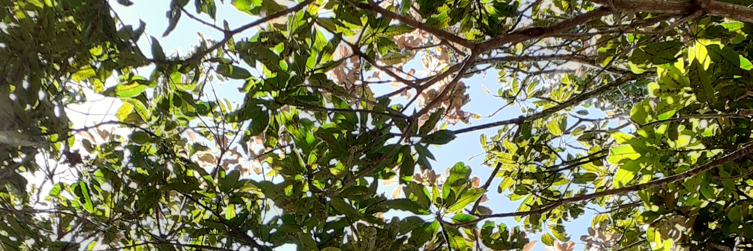 danniel1232's profile banner image