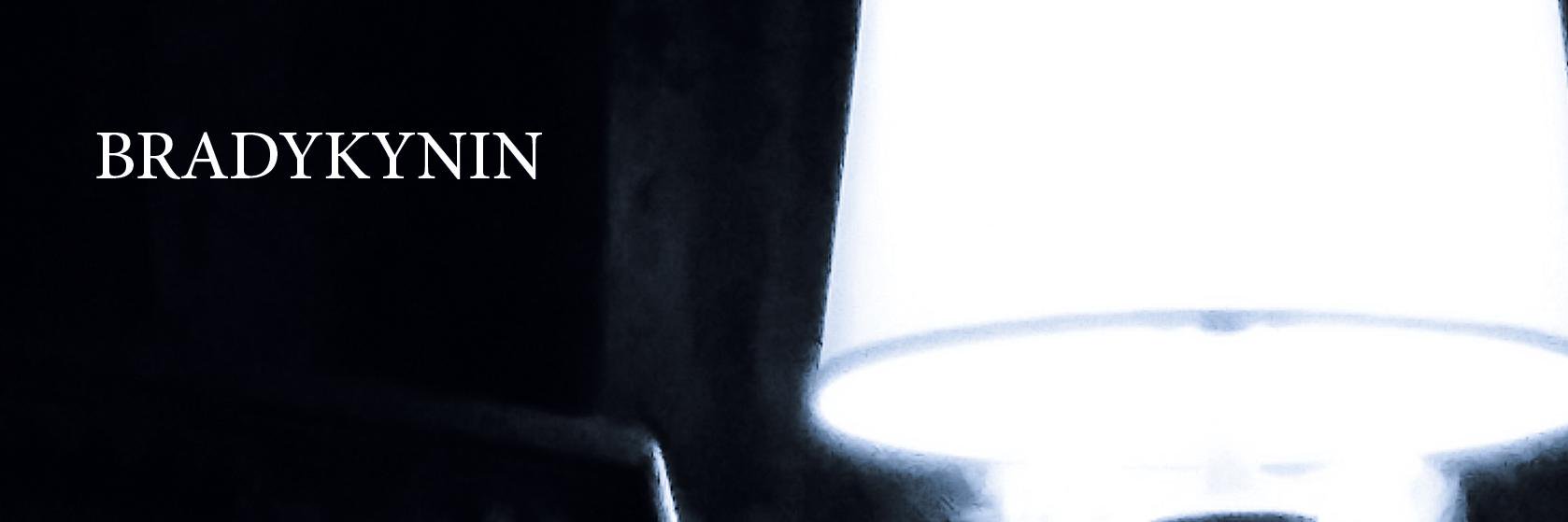 bradykynin's profile banner image