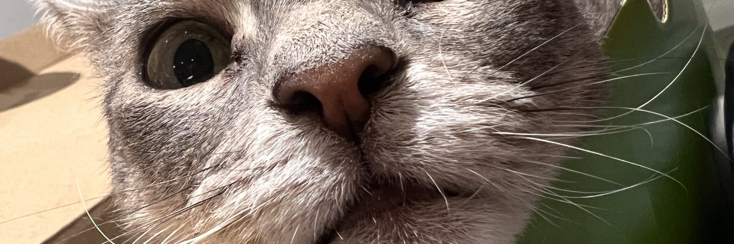 caitlingt08's profile banner image