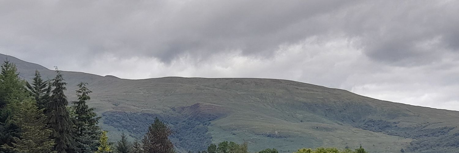 JacquiMurphy7's profile banner image