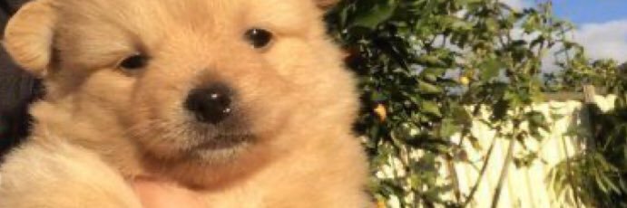 BritAndQuinn's profile banner image