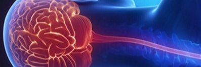 Fassil B. Mesfin, MD, PhD, FAANS banner