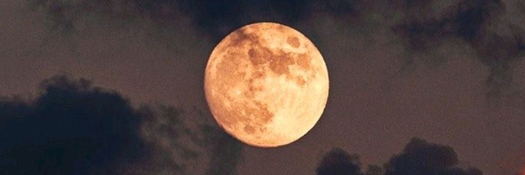 PerBarrozo2's profile banner image