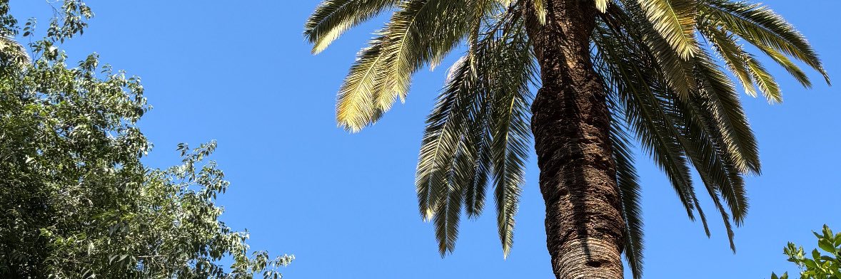 clemencettn's profile banner image