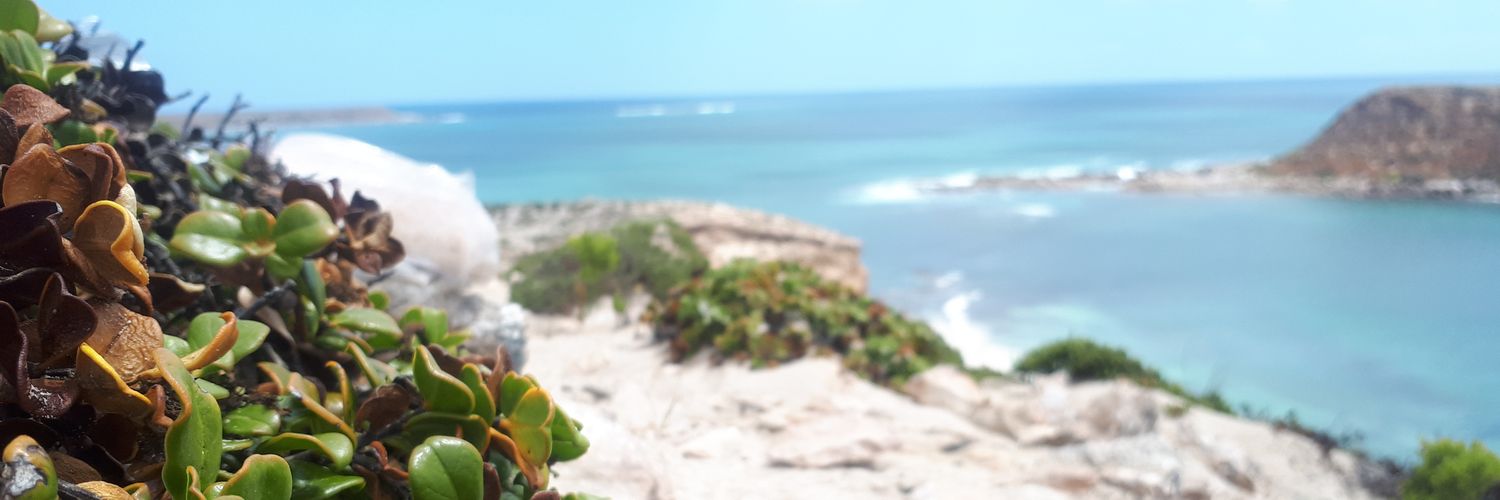 larraberra's profile banner image
