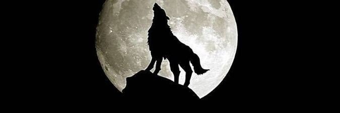 alp_all's profile banner image