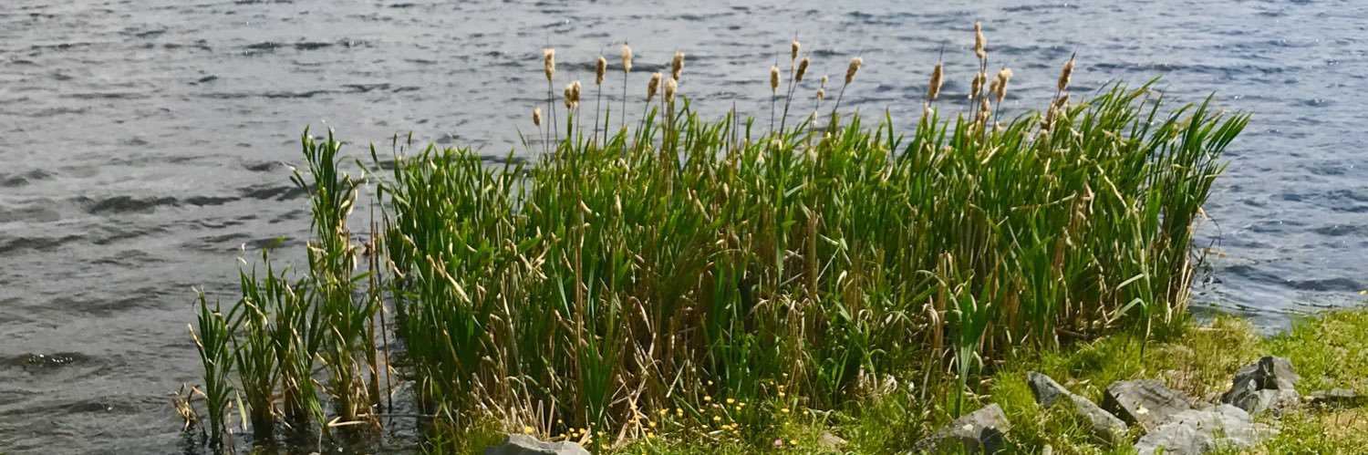 Victoria Carcillo banner