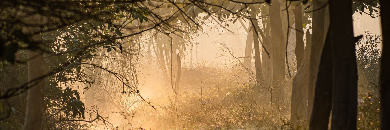 Saumya Narain banner