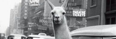eldudese's profile banner image