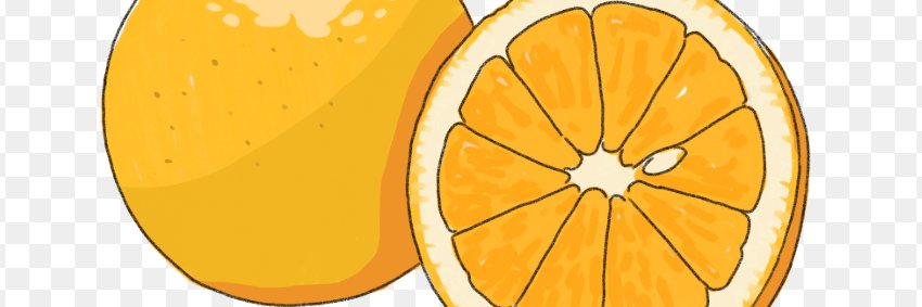 leenler's profile banner image