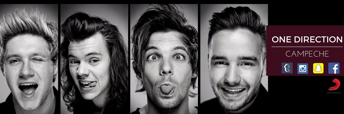 1DCampecheMex's profile banner image
