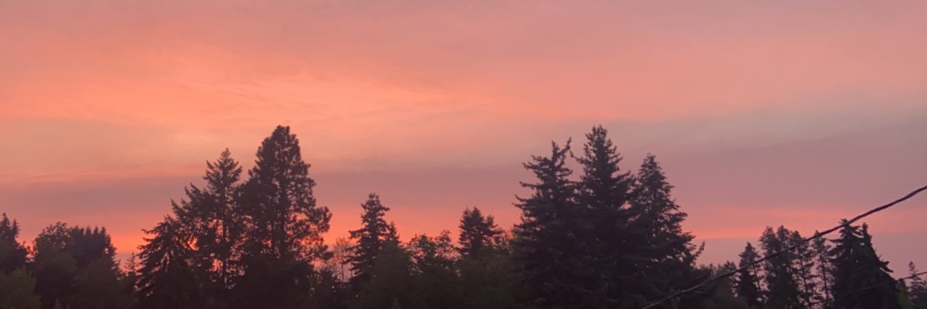anna_waldennn's profile banner image