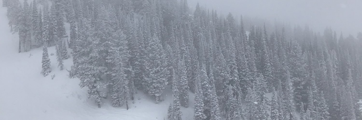 Cole_M15's profile banner image
