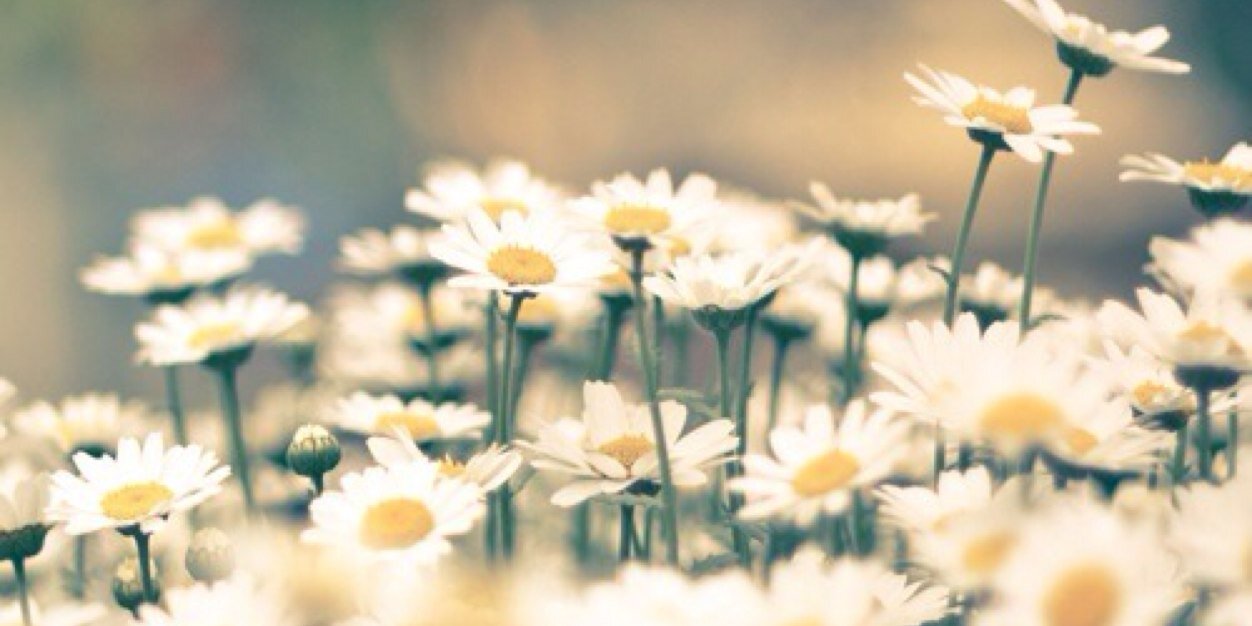 j_fran's profile banner image