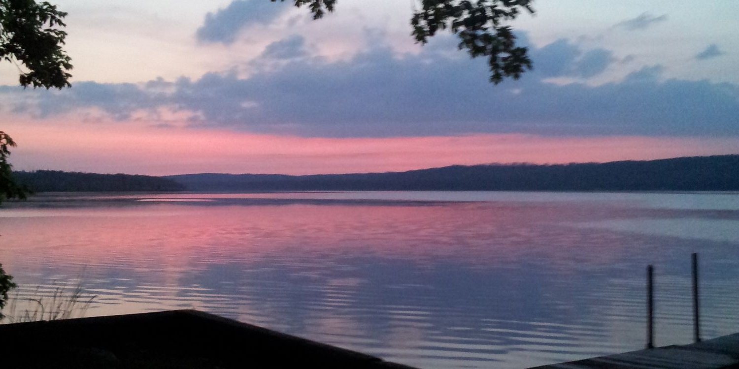 Terri (Lawson) Di Mauro banner