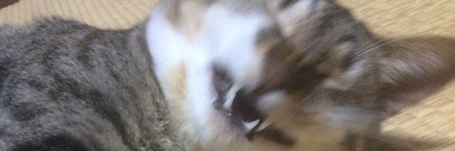 punpunchan's profile banner image