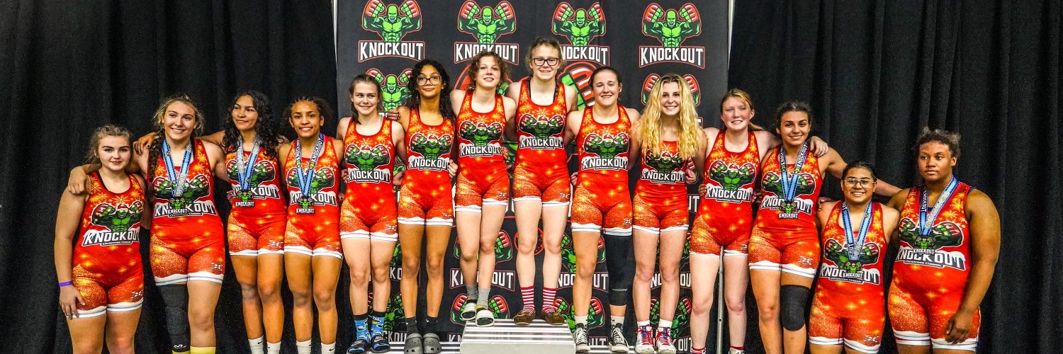 SEWrestle banner