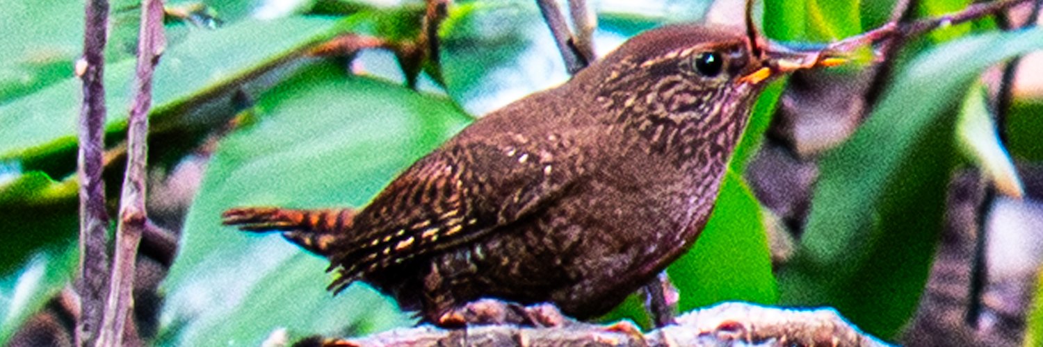 Osei2GTA's profile banner image