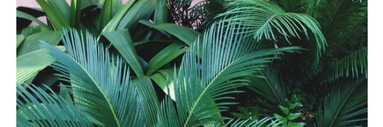 ged_24's profile banner image
